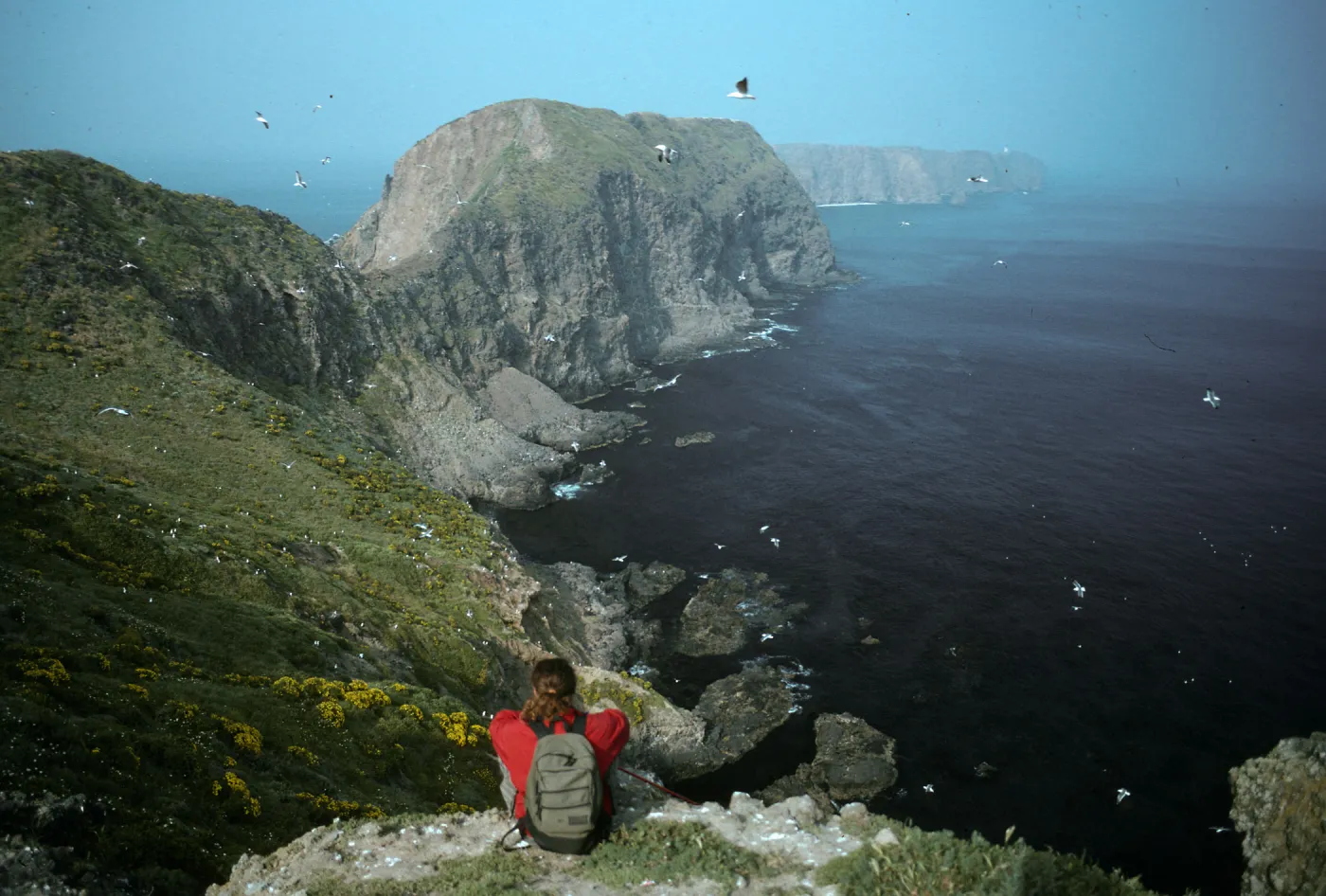 Middle Anacapa Island, David Rosen, overlooking East fish Camp