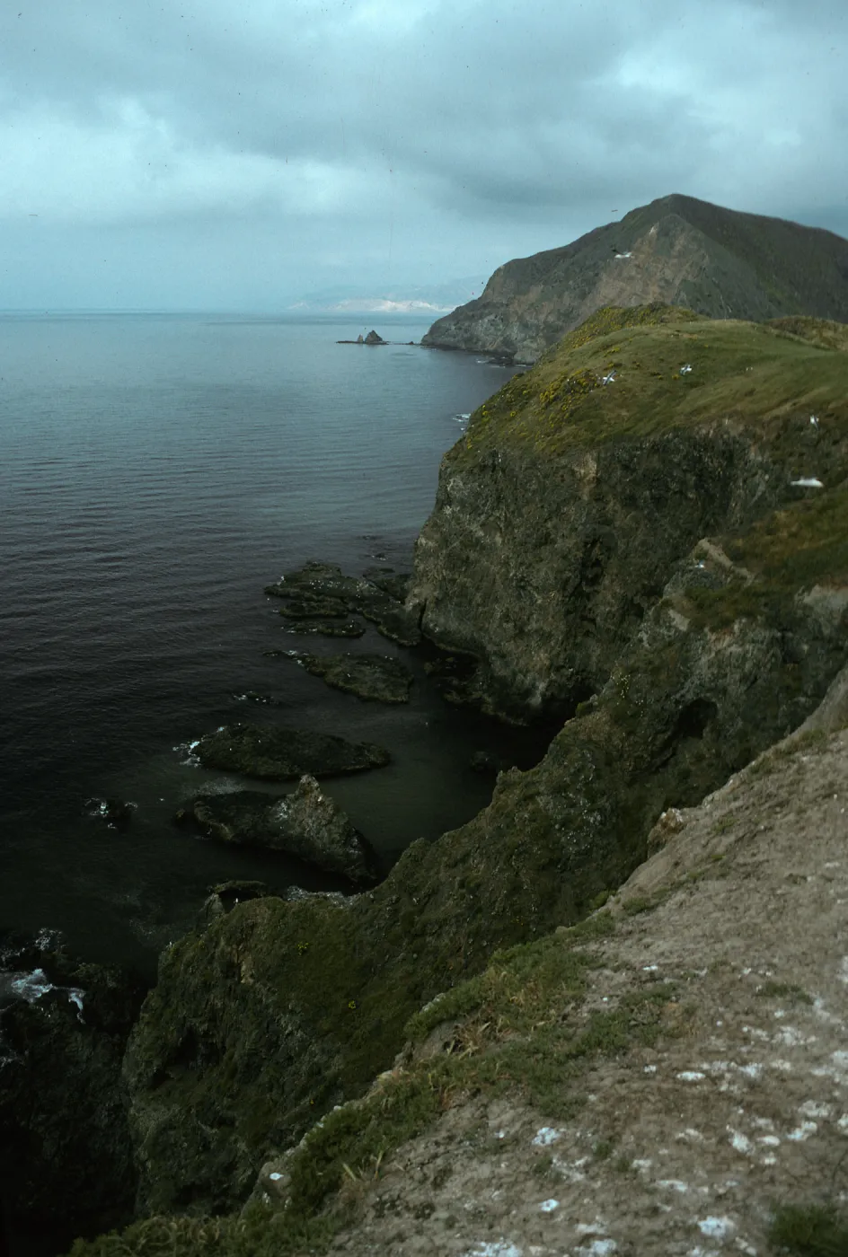 Middle Anacapa Island, view of South side & West Anacapa Island