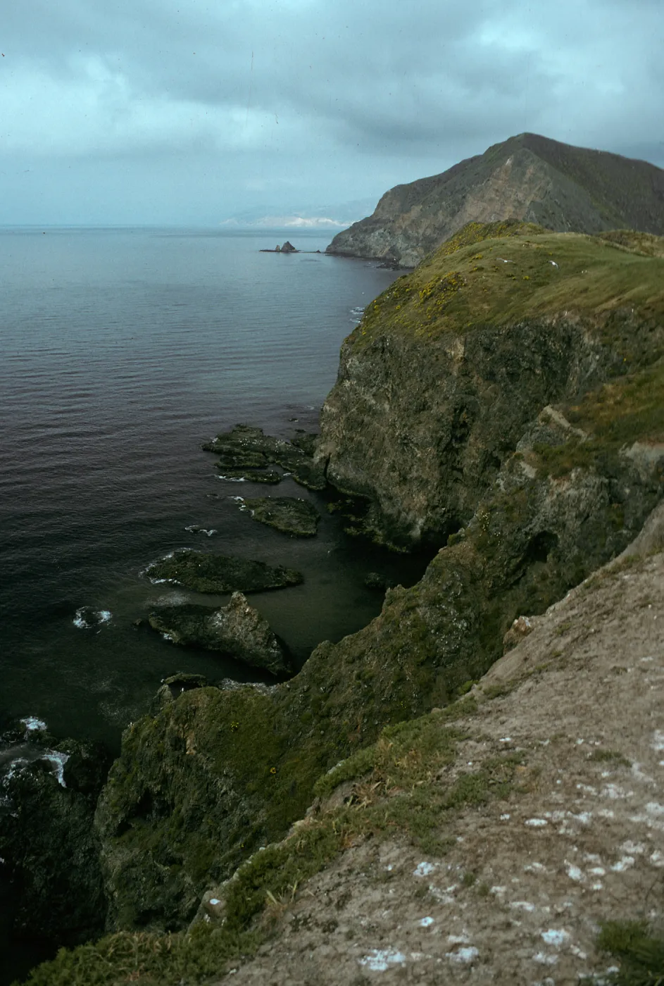 Middle Anacapa Island, view of S-facing side & West Anacapa Island