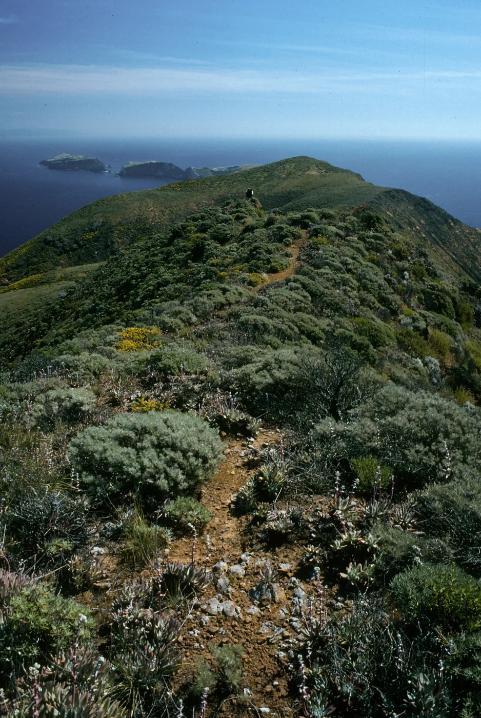 West Anacapa Island, East of Summit Peak, looking East