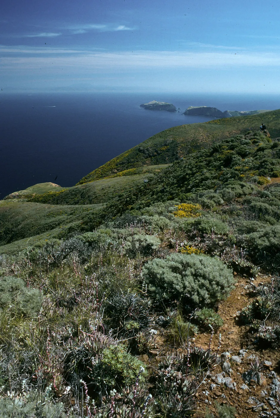 West Anacapa Island, East of Summit Peak, looking East