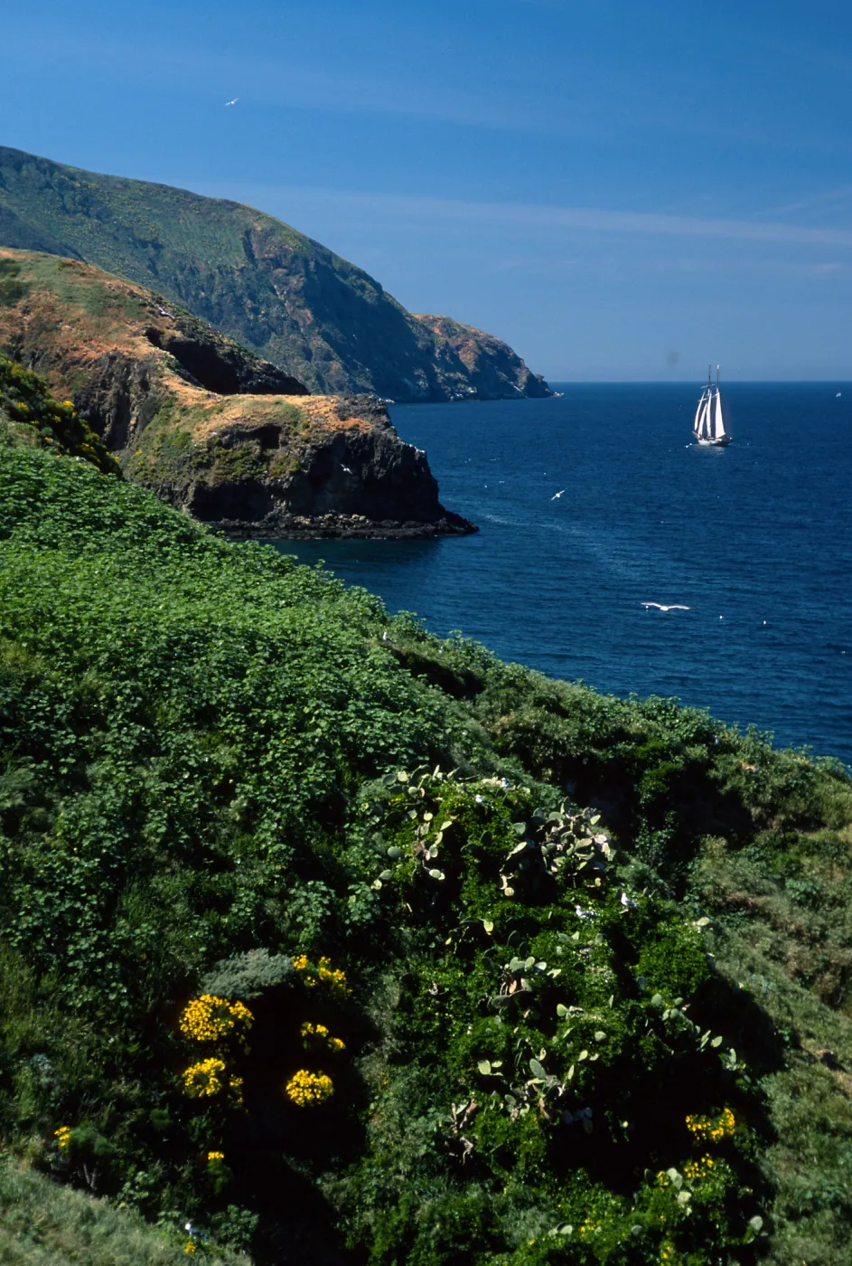 Middla Anacapa Island, tall ship “California”, Sheep Camp