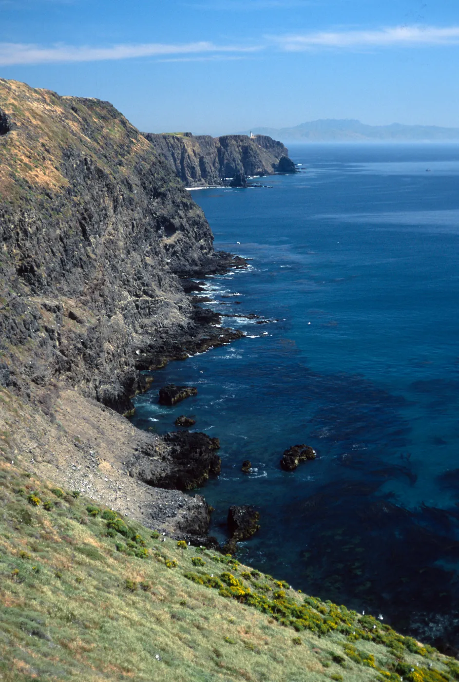 Middle Anacapa Island, looking East from vicinty of East Fish Camp