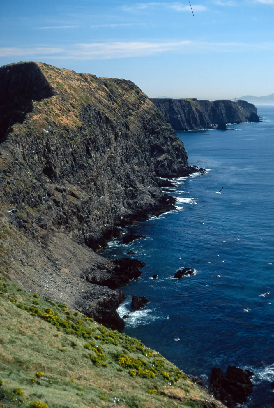 Middle Anacapa Island, looking East from vicinty of East Fish Camp