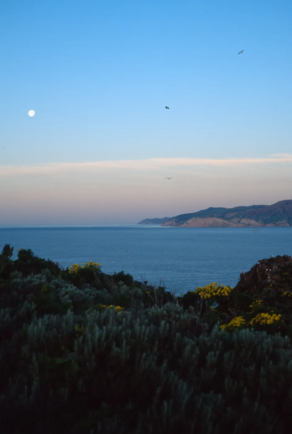 West Anacapa Island, sunrise w/moon over Santa Cruz Island
