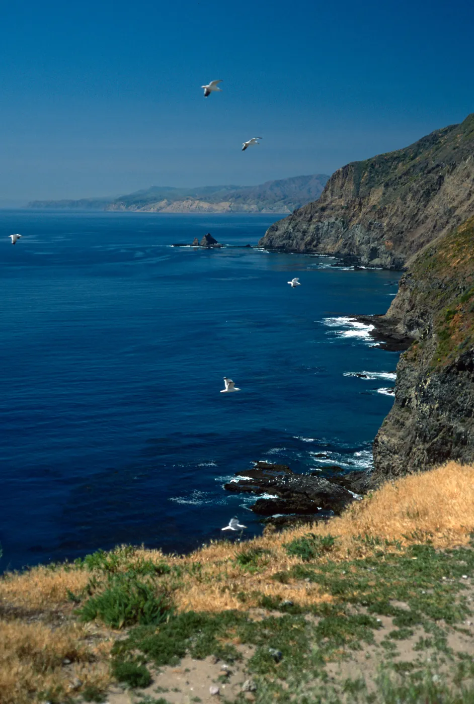 Middle Anacapa Island, South side of Middla Anacapa, looking West toward Cat Rock & Santa Cruz Island