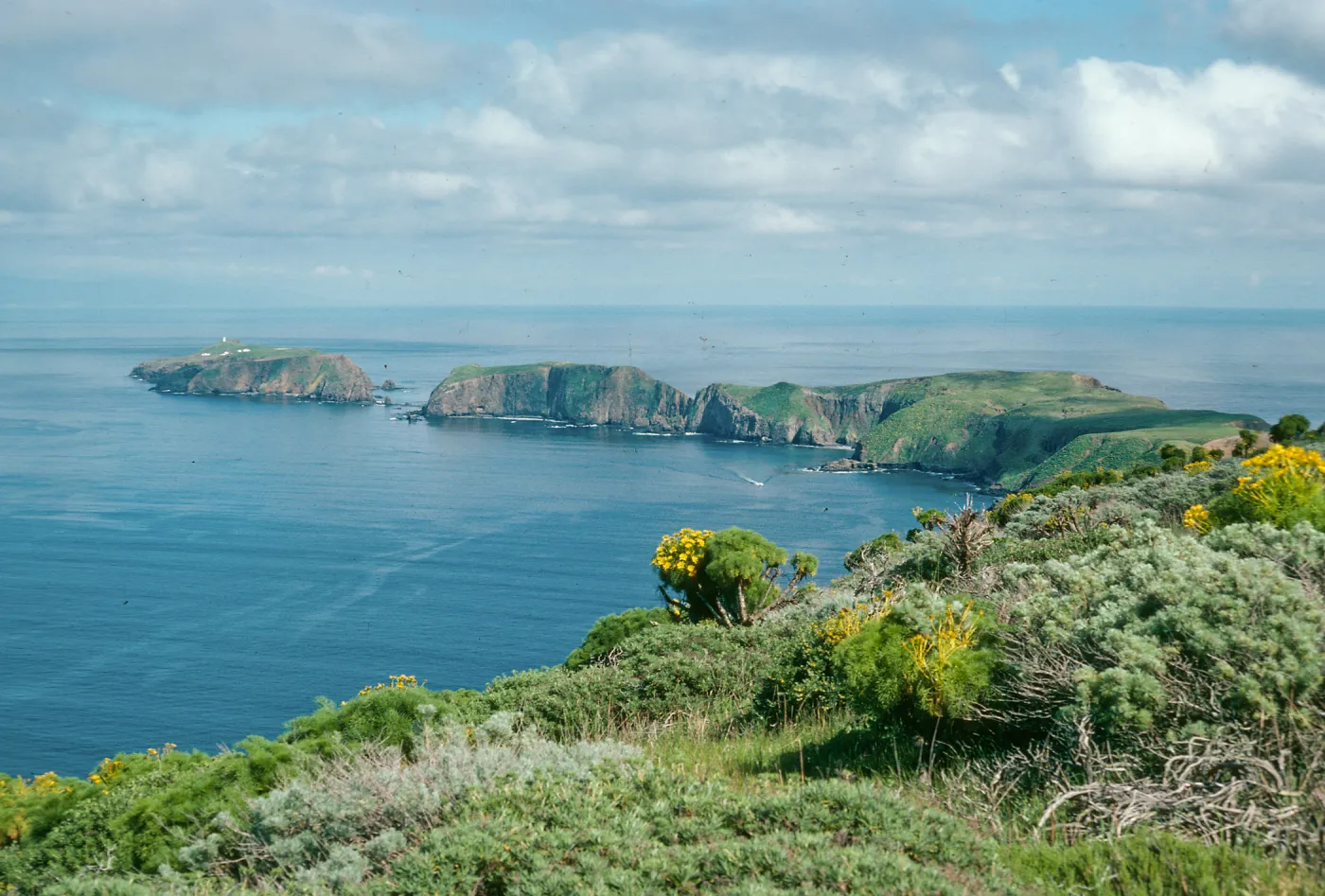West Anacapa Island, view of East & Middle Islands, from ridge, East of Cherry Canyon