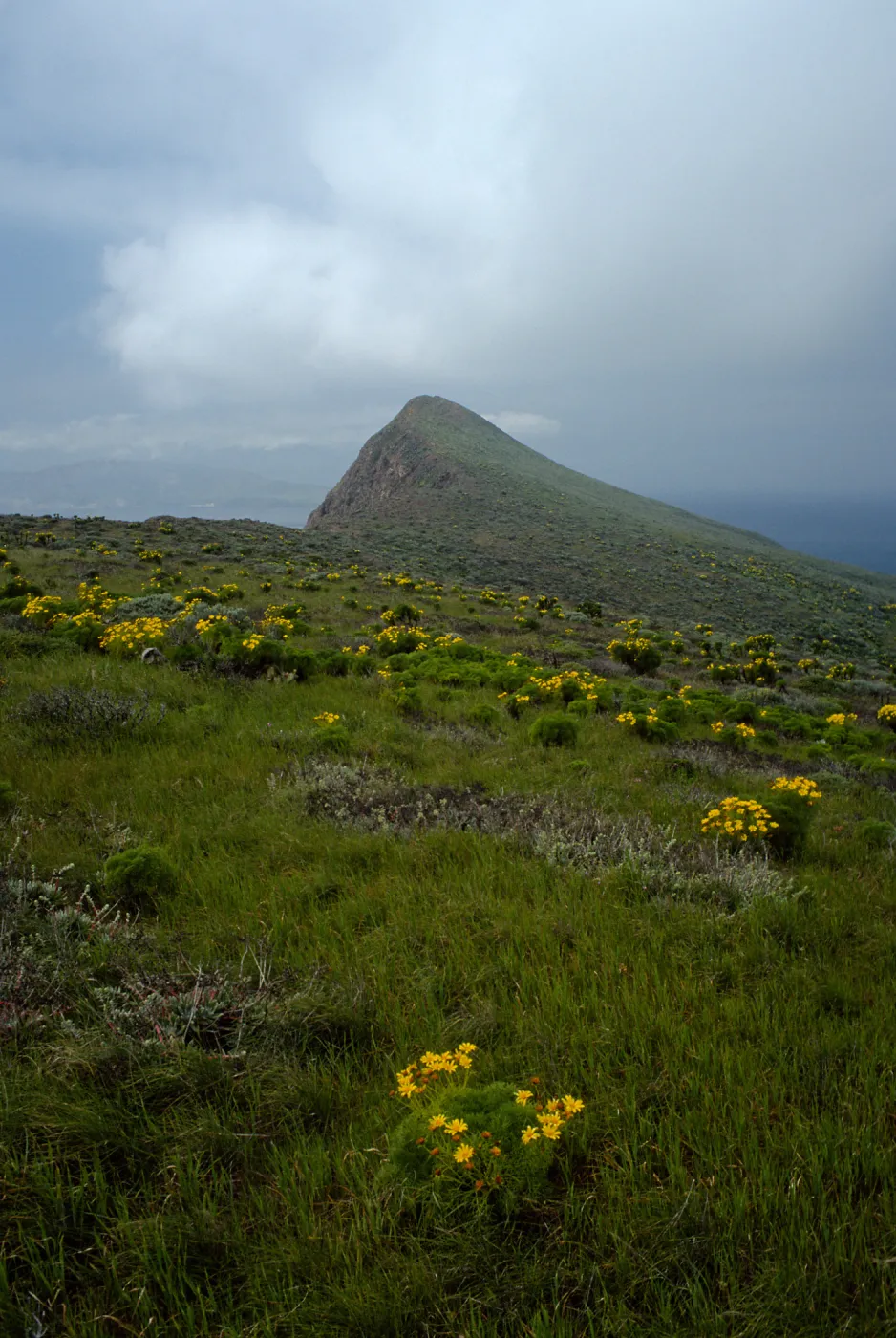 West Anacapa Island, looking West