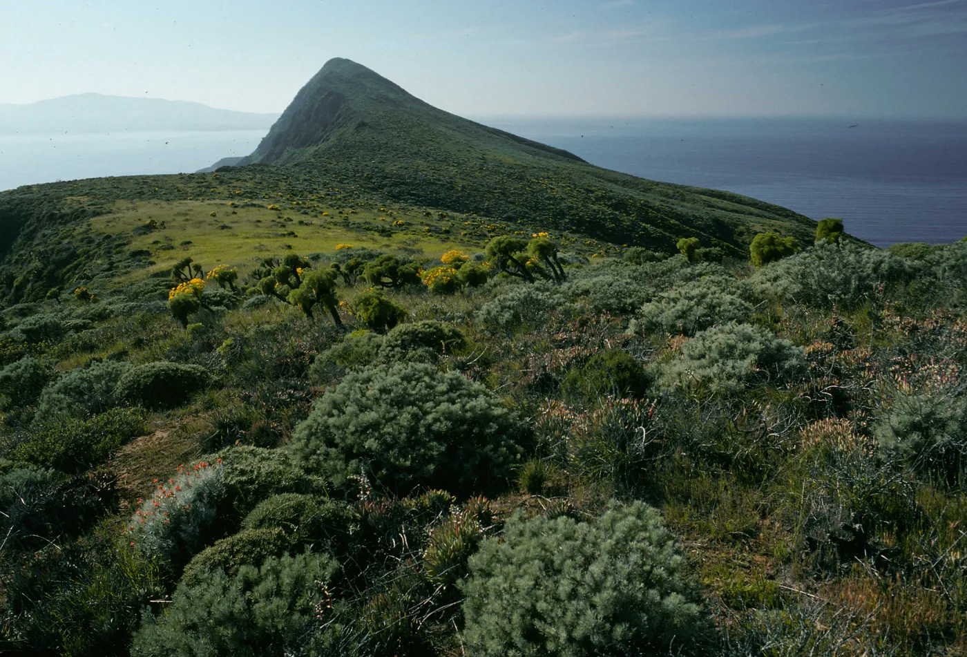 West Anacapa Island, Summit Peak from West flanks of Camel Peak