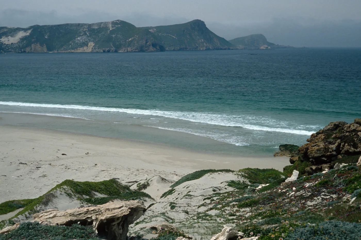 San Miguel Island, East end of beach, Cuyler Harbor