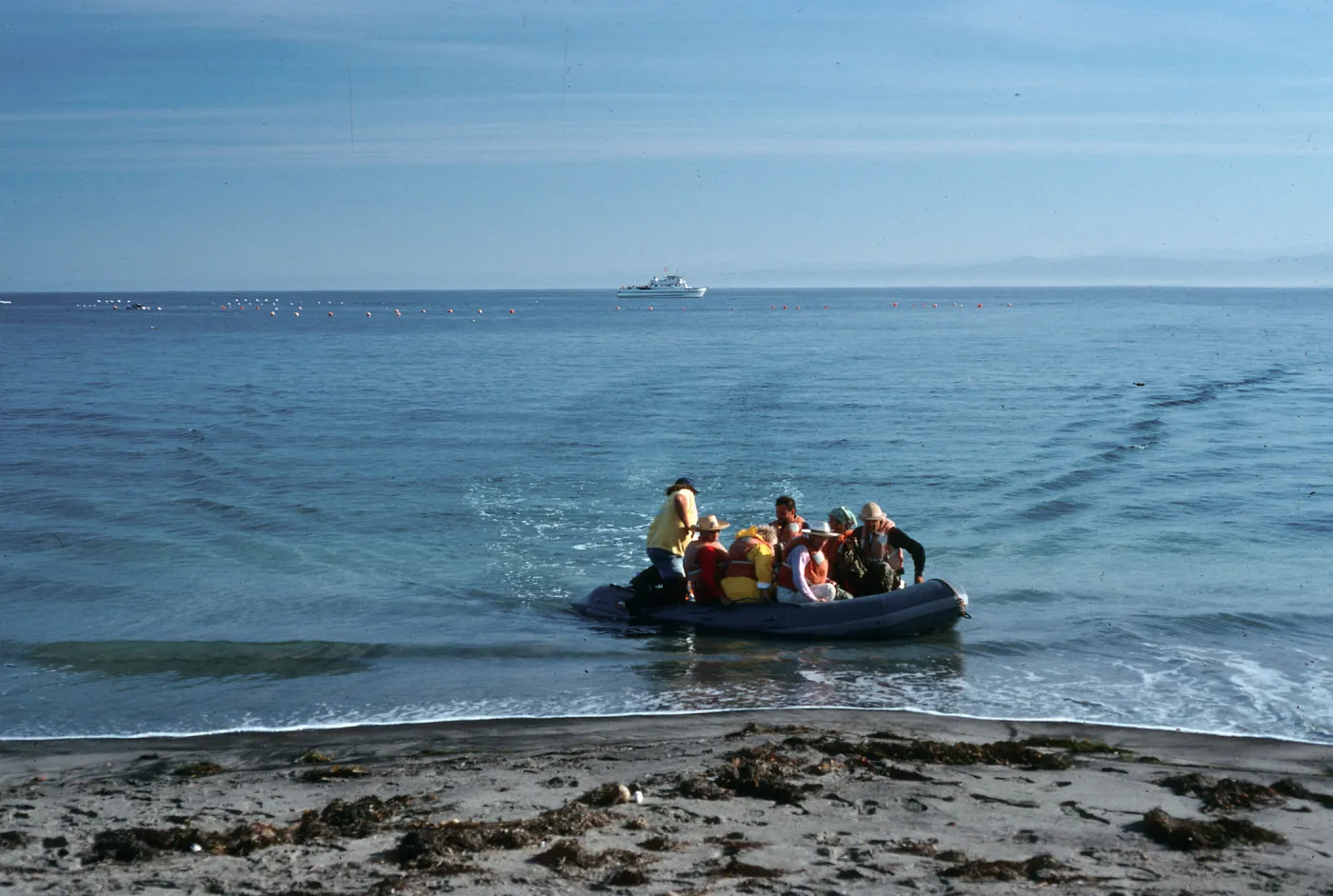 San Martin Island, landing, Hasslers Cove