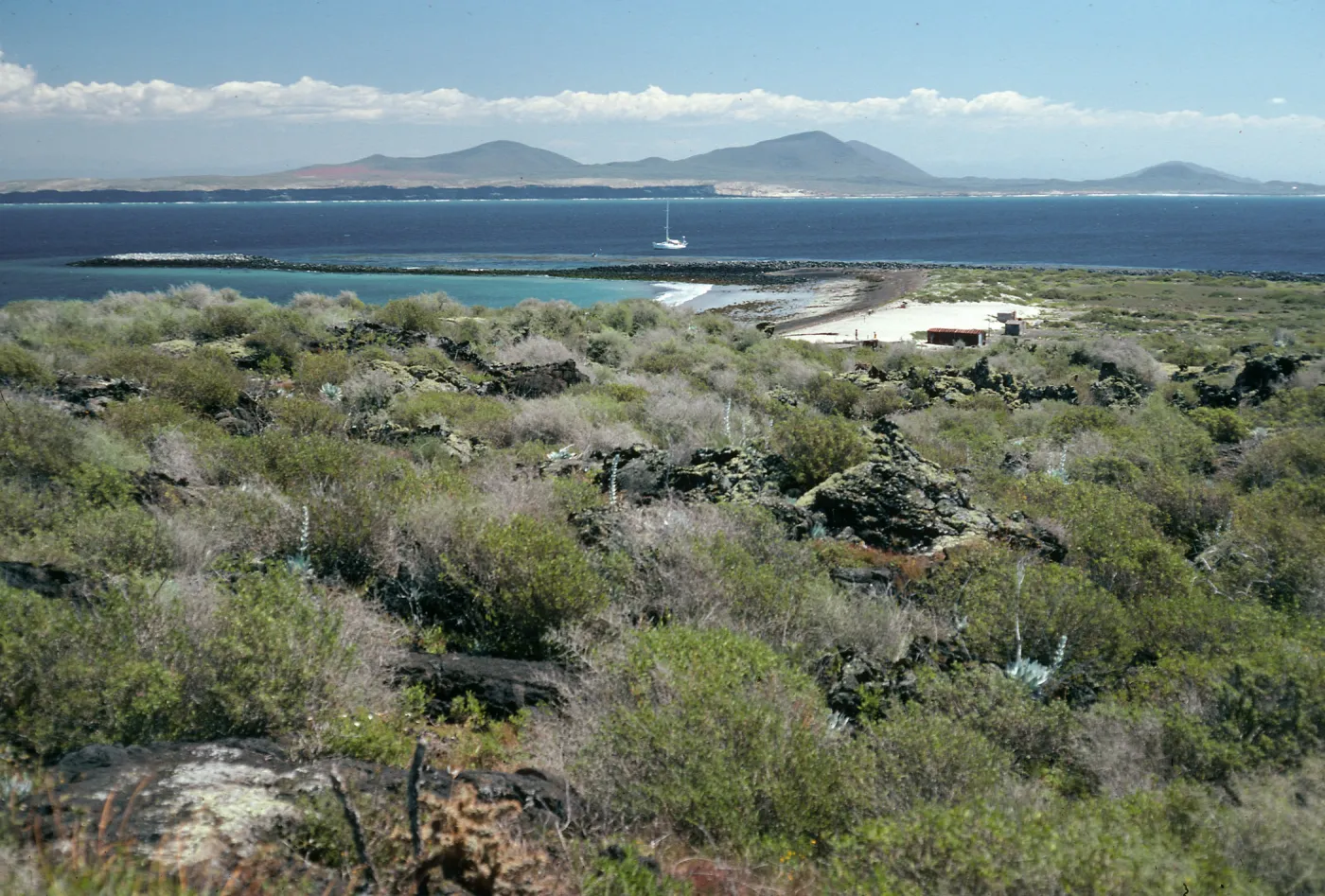 San Martin Island, view of mainland, Hasslers Cove