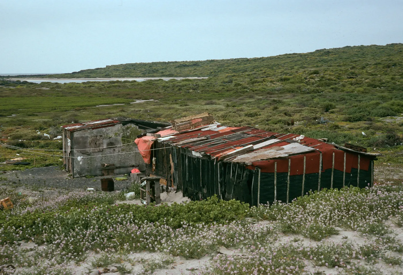 San Martin Island, fishing village, Hasslers Cove (Cakile)