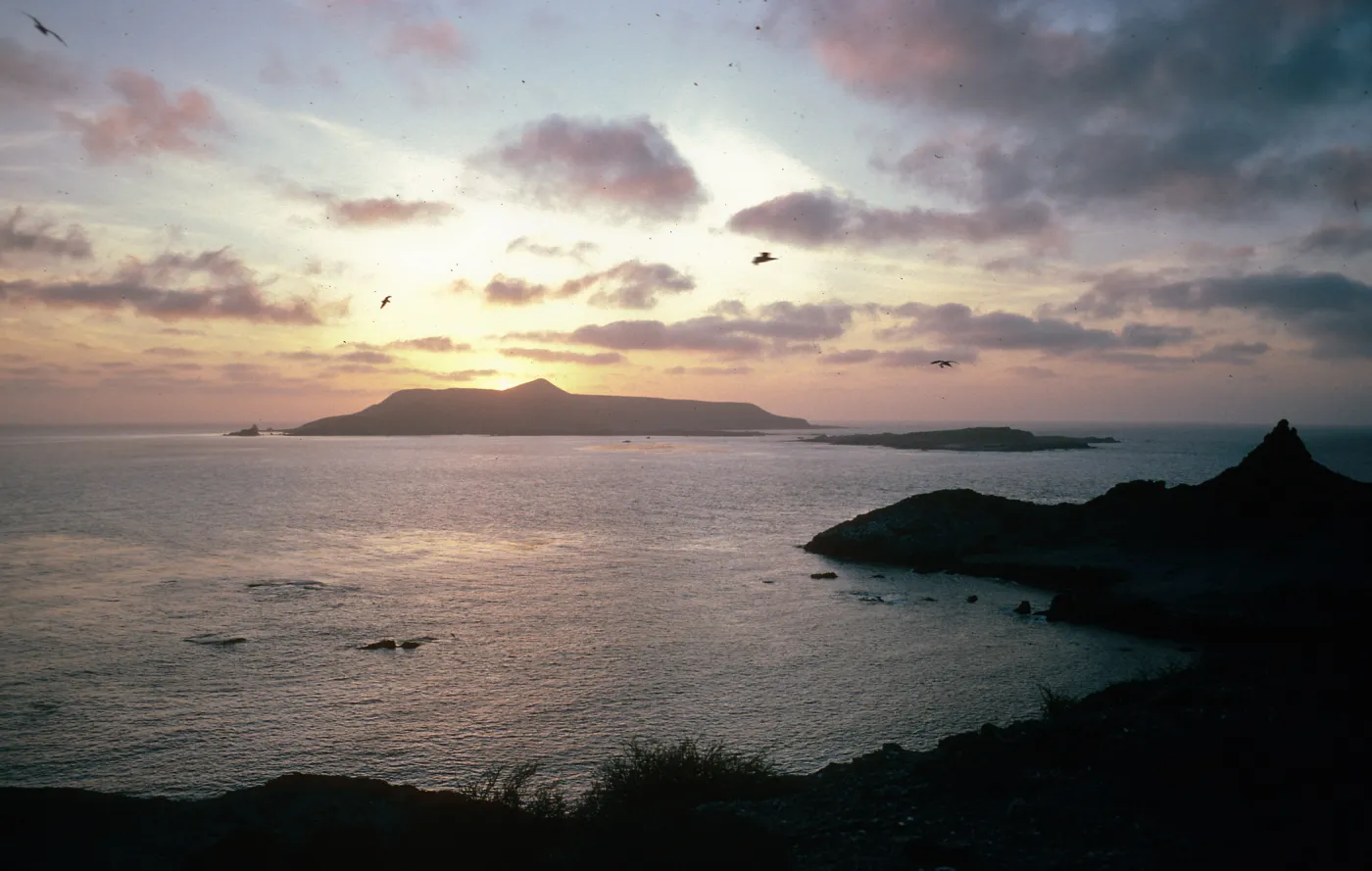 East San Benito Island looking towards Middle and West San Benito Island