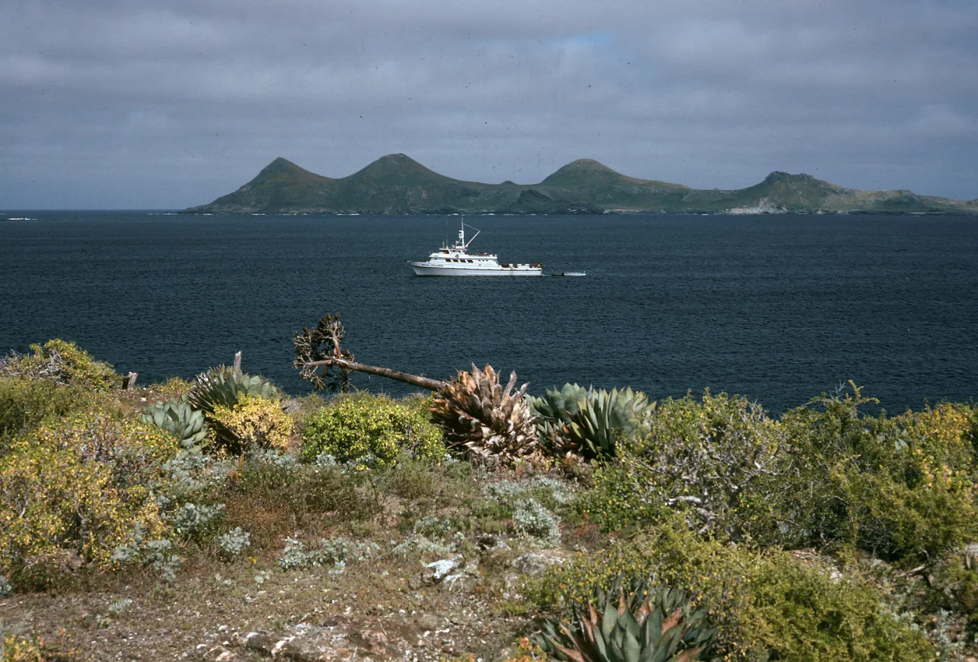 West San Benito Island, Royal Polaris, village harbor 