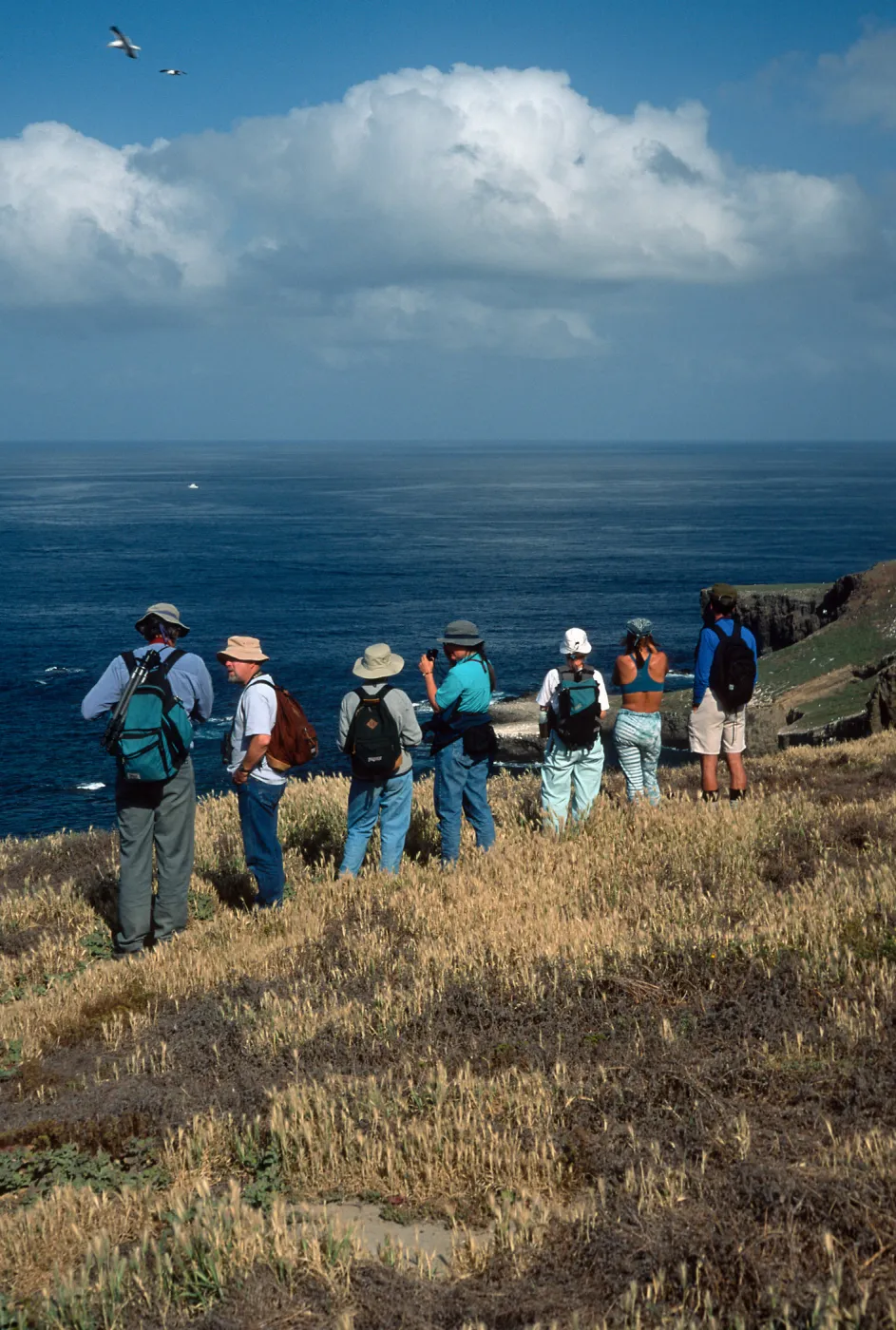 Santa Barbara Island, West side