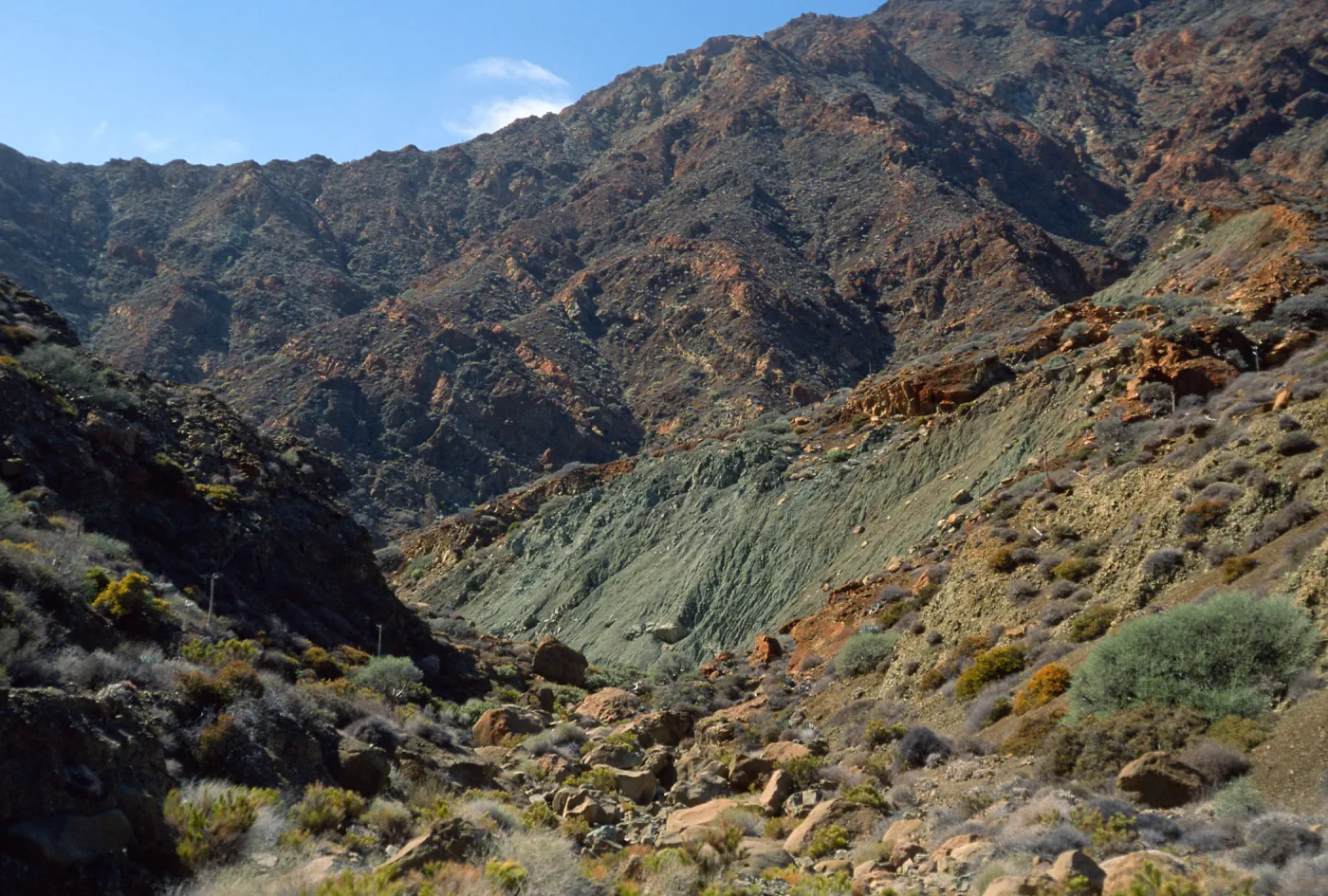 Cedros Island, Arroyo Choyal