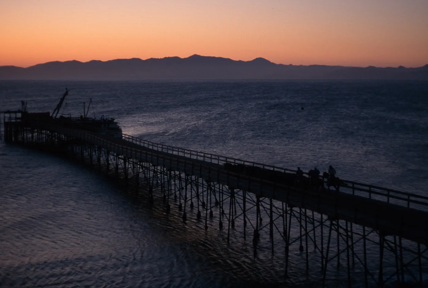 Santa Rosa Island, cattle drive at dawn, Vail Ranch