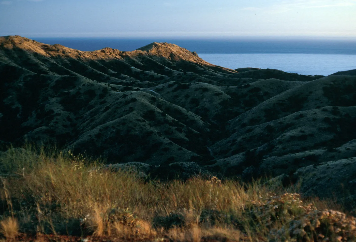 Las Torres from Coches Prietos Road, Santa Cruz Island