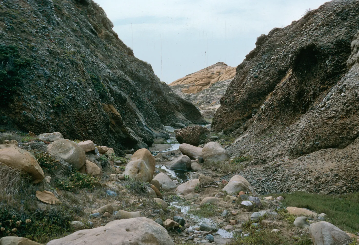 mouth of Sauces Canyon, Santa Cruz Island