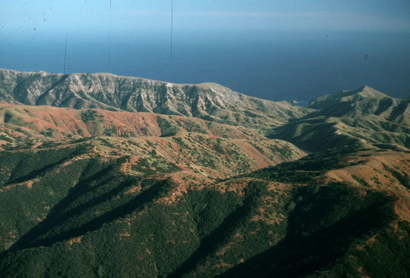 Willows Canyon, Santa Cruz Island