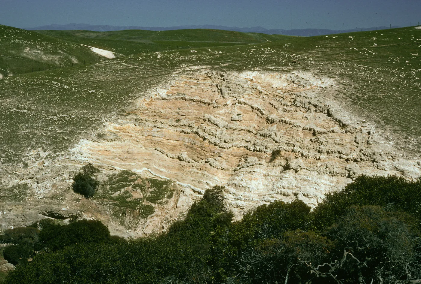 Montmorillonite shale, Scorpion Canyon, Santa Cruz Island