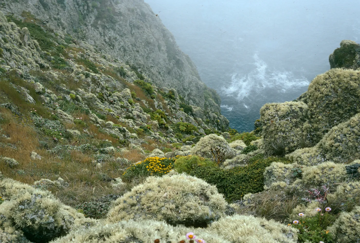Looking down bluffs, marker 717, West end, Santa Cruz Island