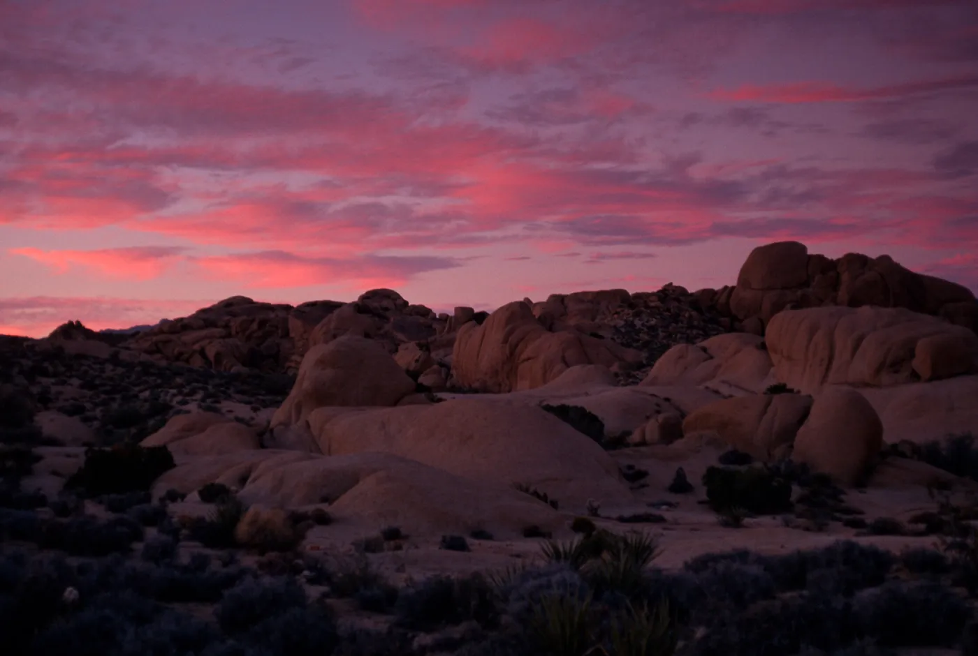 sunset, Joshua Tree National Park