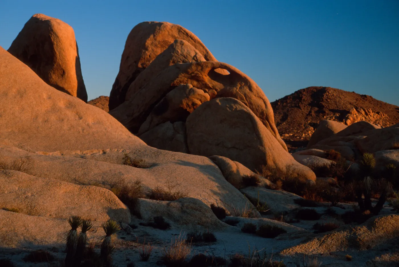 rocks, near Belle Campground, Joshua Tree National Park