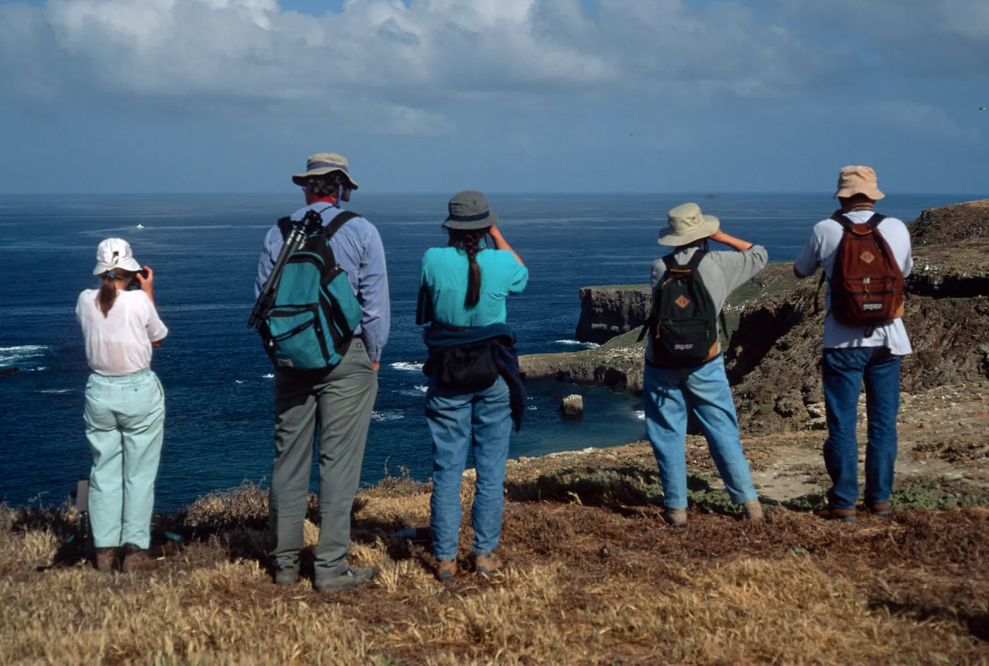 West side, Santa Barbara Island