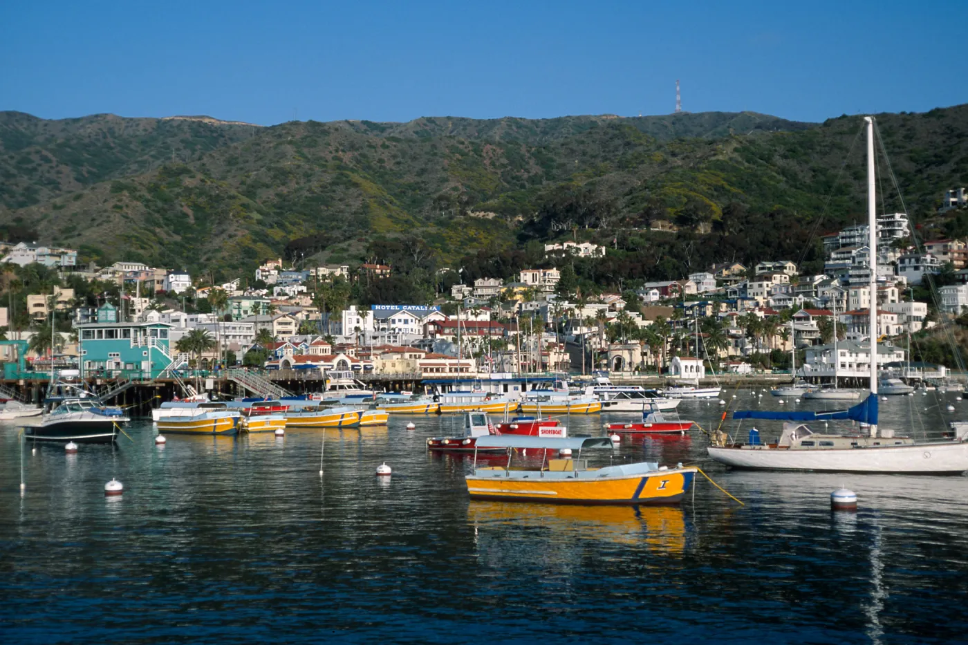 Avalon Harbor, Catalina Island