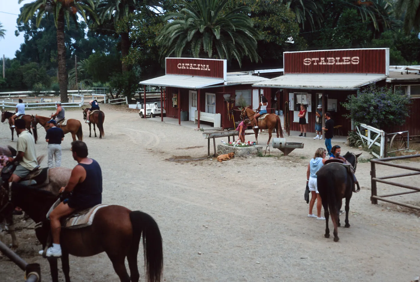 stables, Avalon Canyon, Catalina Island