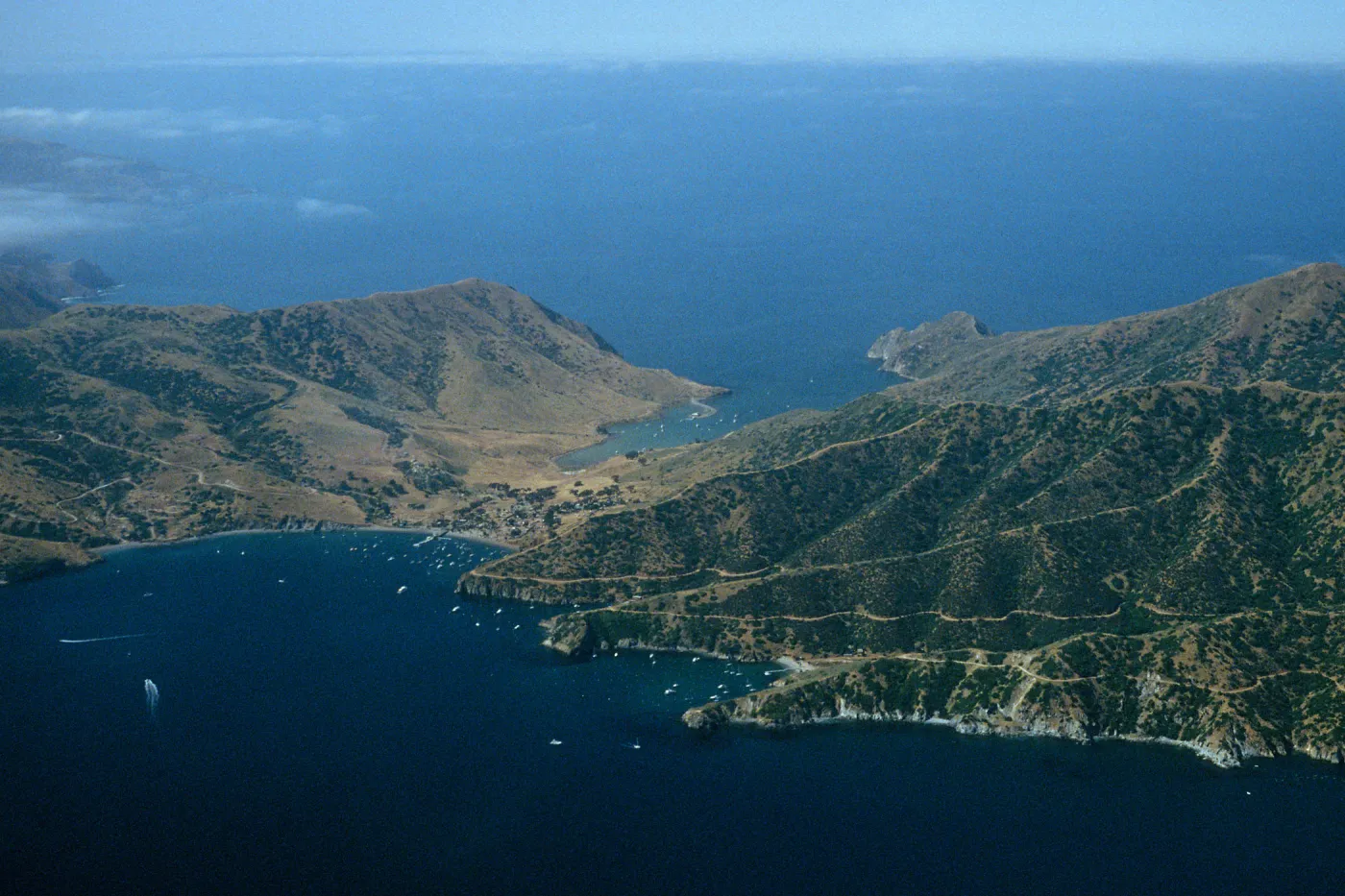 Isthmus Cove, Catalina Island