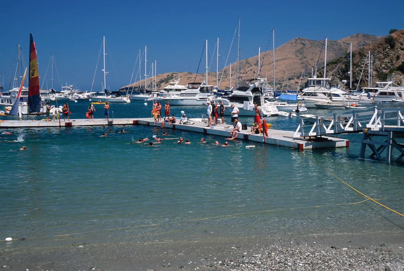 swimmers at pier, Cherry Cove, Catalina Island