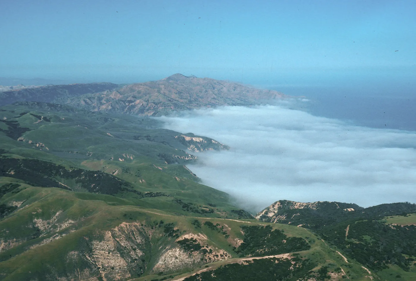 fog at China Harbor, Santa Cruz Island