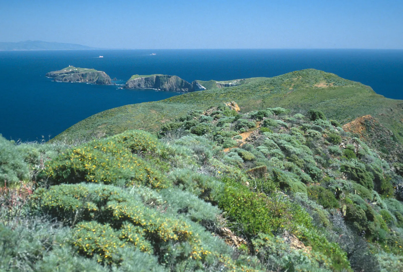 view of East Anacapa Island from ridgetop, West Anacapa Island