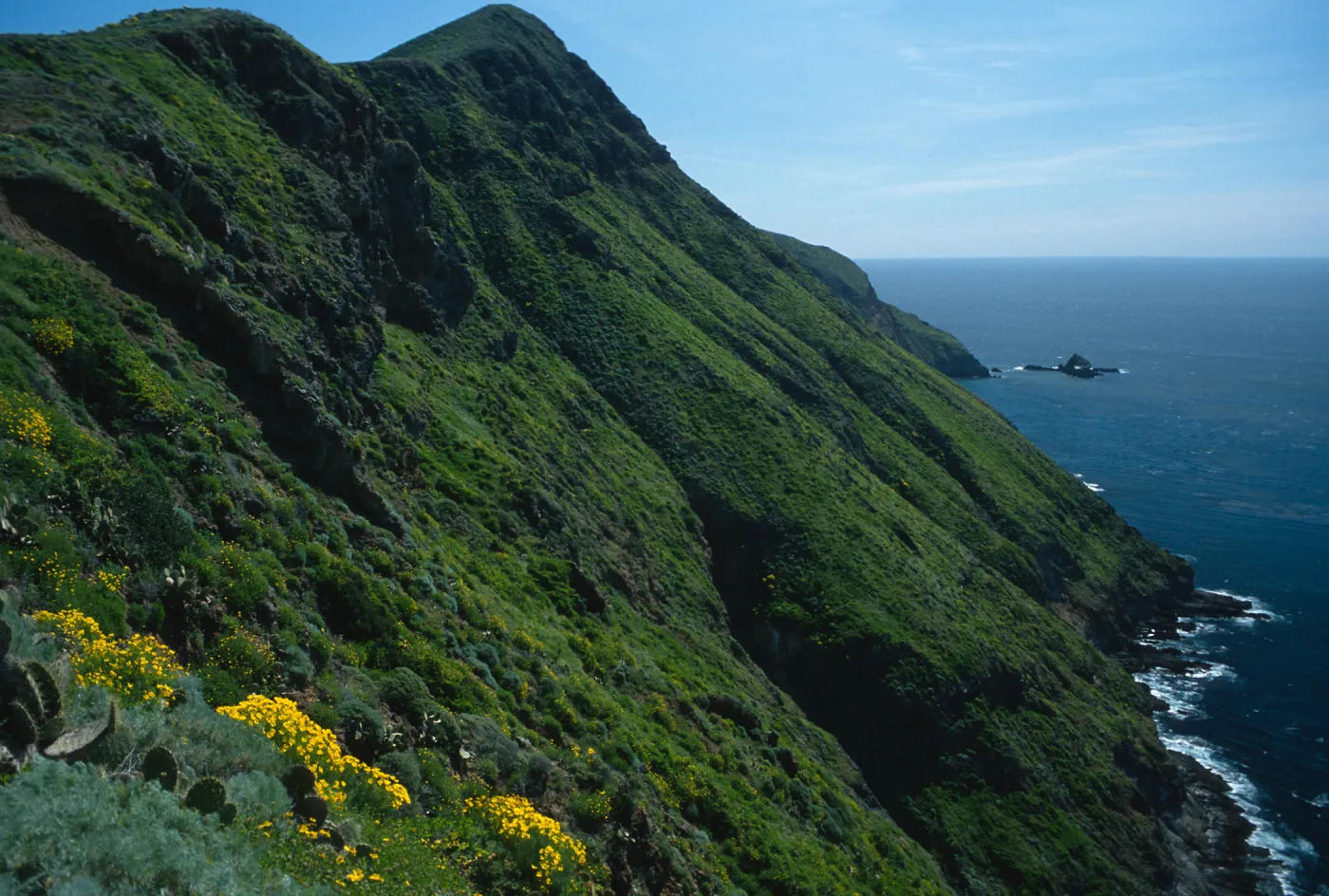 South-facing slope, West of Summit Peak, West Anacapa Island