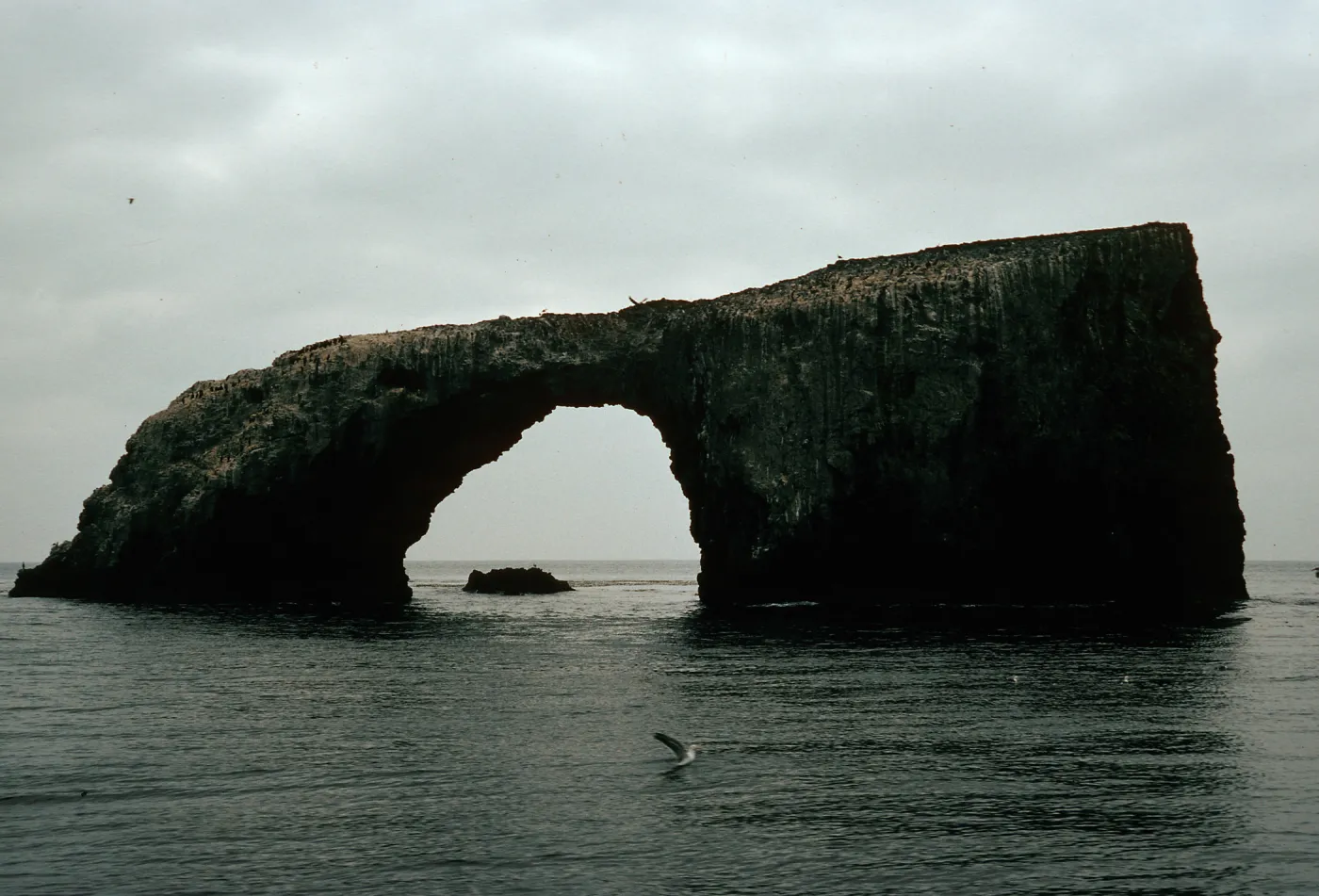 Arch Rock, East Anacapa Island