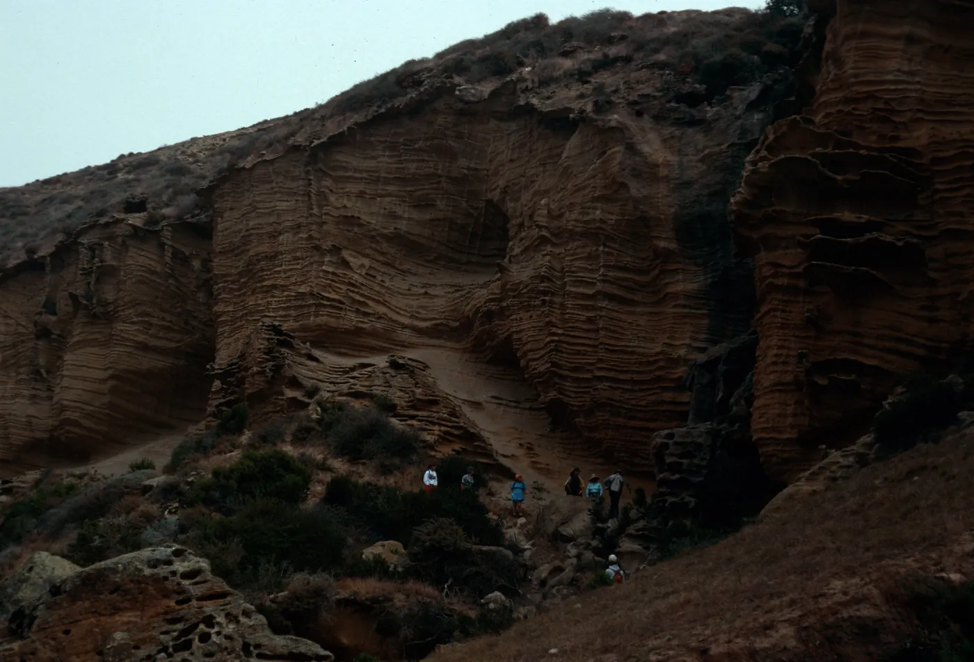 Lobo Canyon, Santa Rosa Island