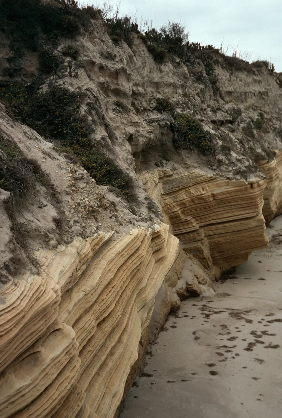 beach cliffs, Beechers Bay, Santa Rosa Island