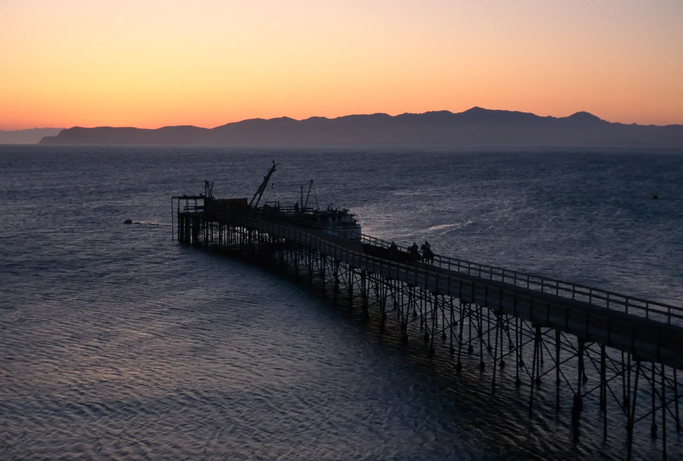 cattle drive at dawn, Vail Ranch, Santa Rosa Island