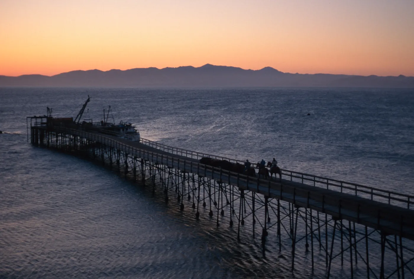 cattle drive at dawn, Vail Ranch, Santa Rosa Island