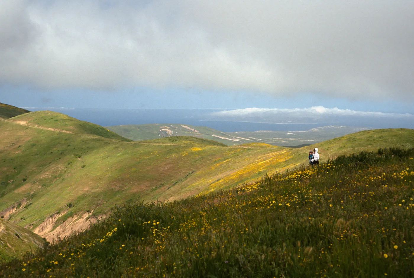 West end view, Santa Rosa Island