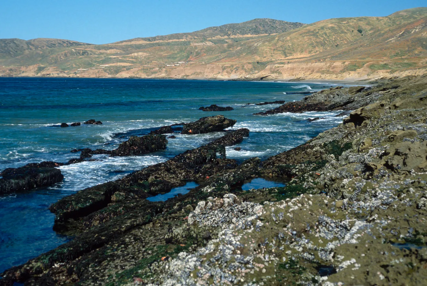 tide pools, Johnsons Lee, Santa Rosa Island
