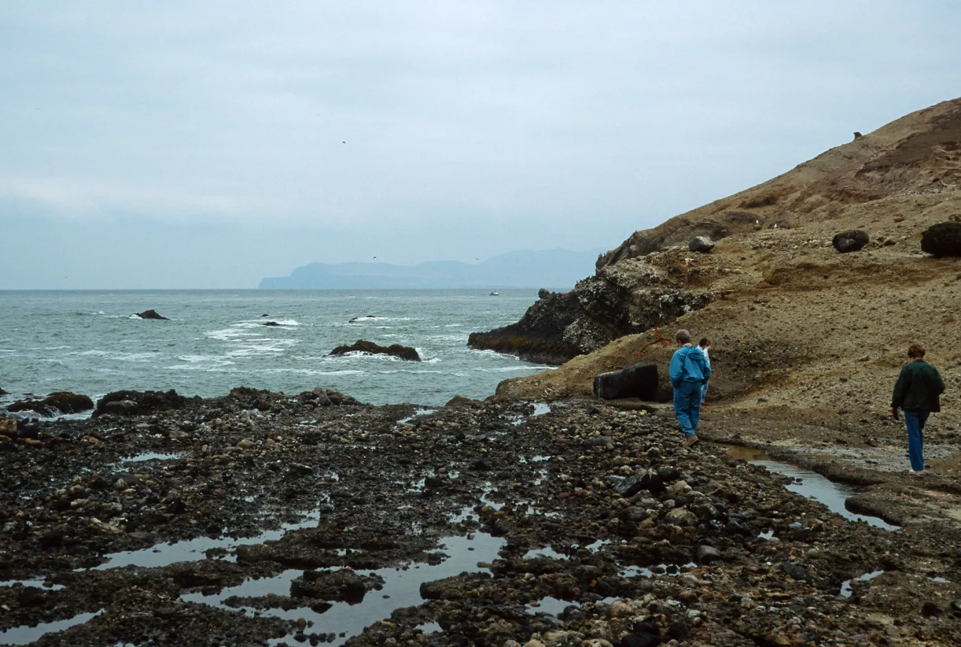 tide pools, just West of Carrington Point Peninsula, Santa Rosa Island