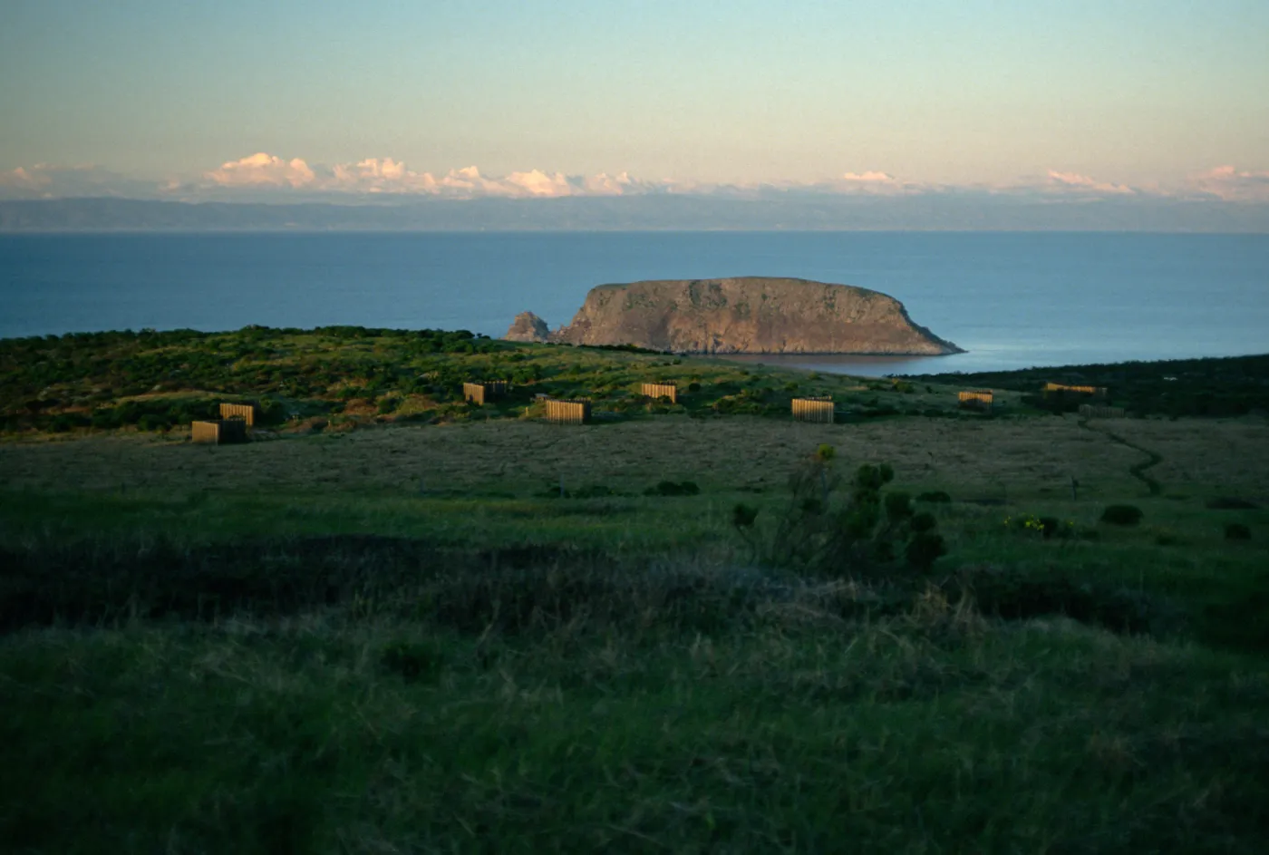 campground at dusk, San Miguel Island