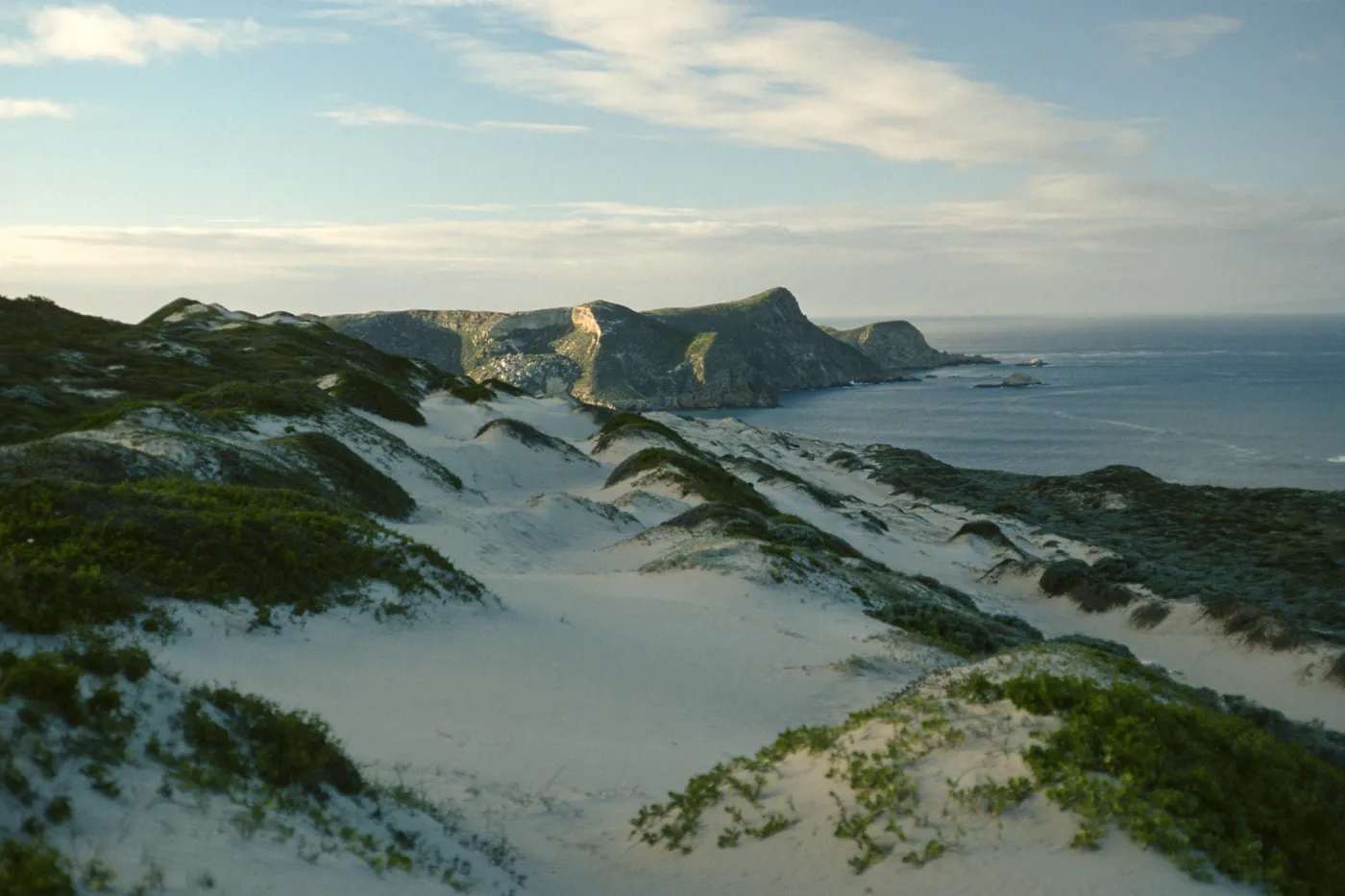 dunes above Cuyler Harbor, San Miguel Island