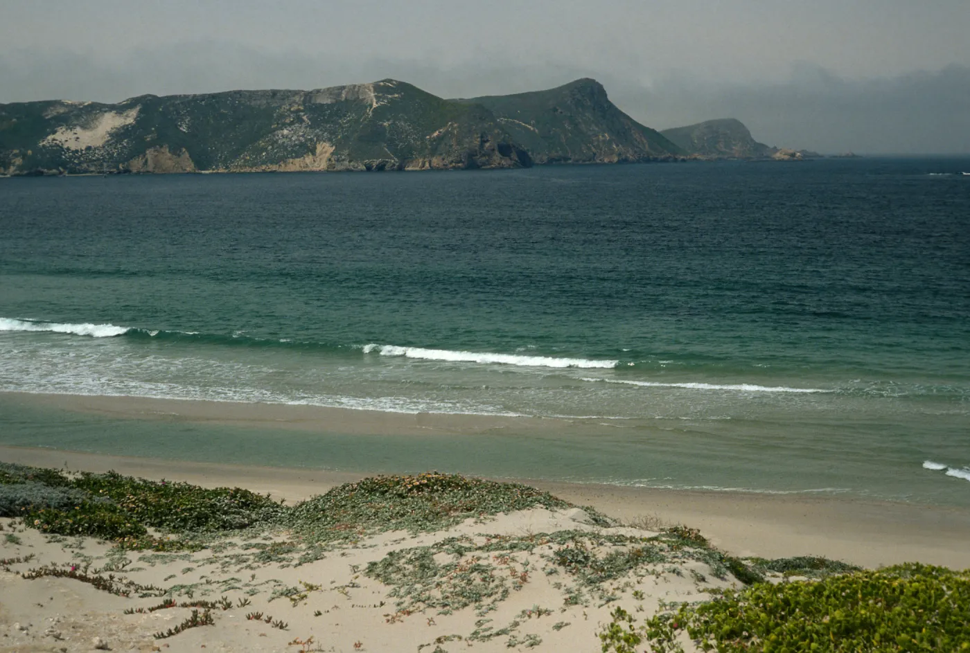 beach at Cuyler Harbor, San Miguel Island