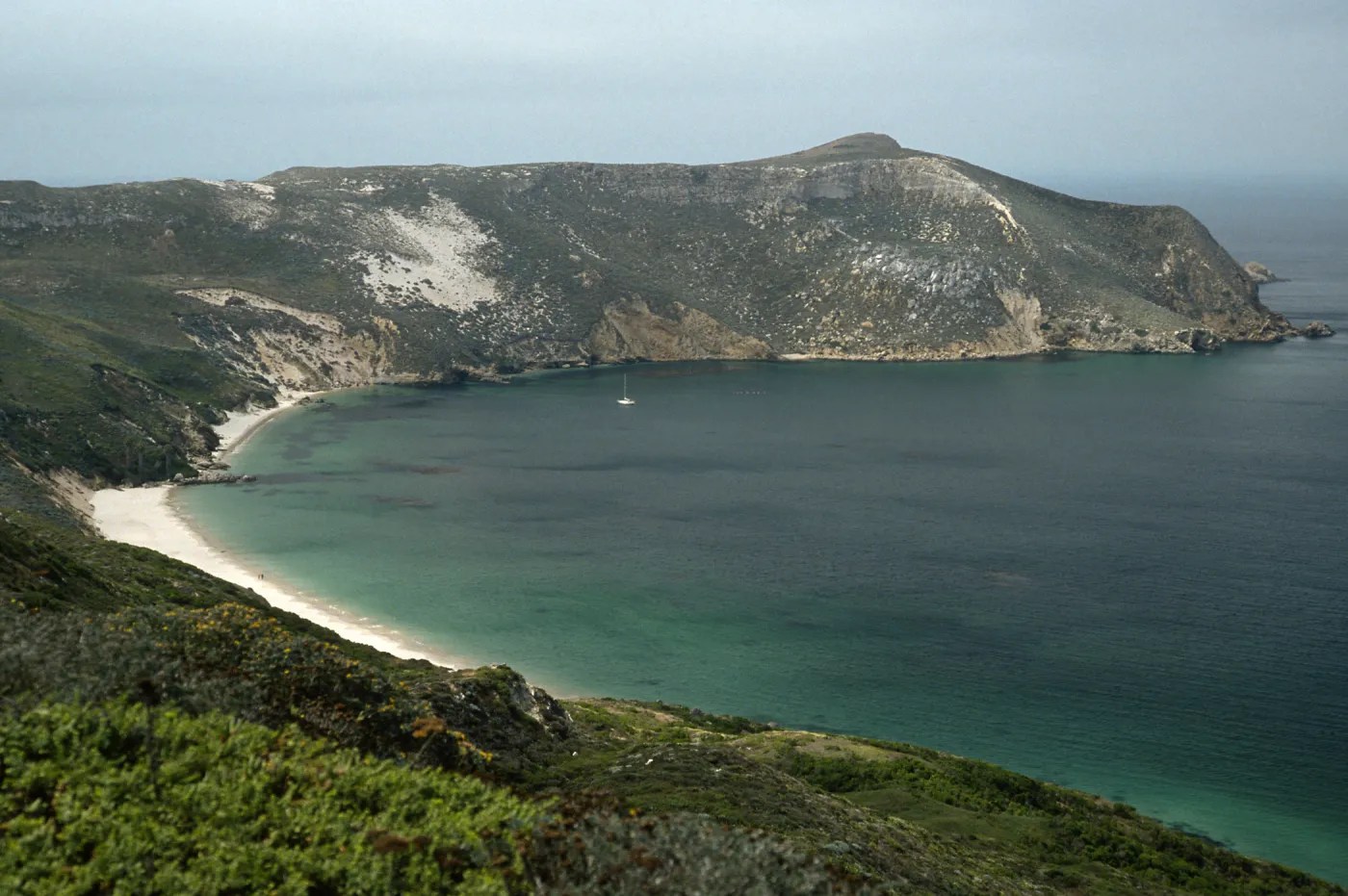 Cuyler Harbor, along trail to Harris Point, San Miguel Island