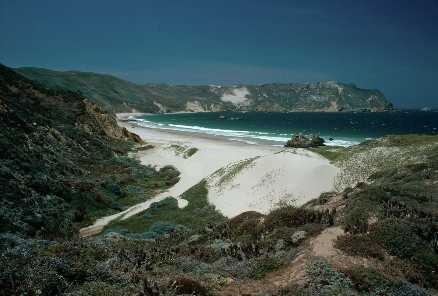 Cuyler Harbor, San Miguel Island